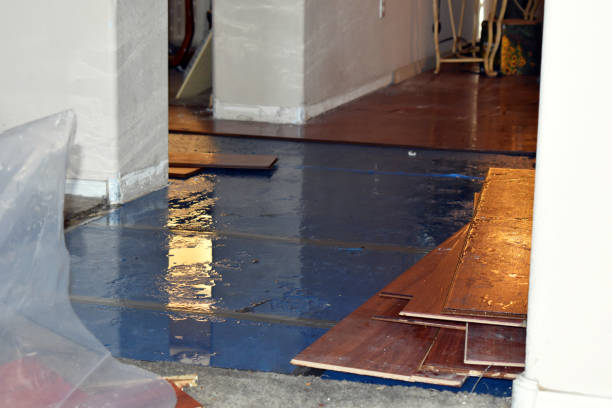 Professional Emergency Water Damage Restoration technician working in Morgantown, WV